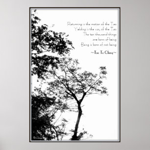 Poster Tao Te Ching/photographie arbre B&W de coucher du