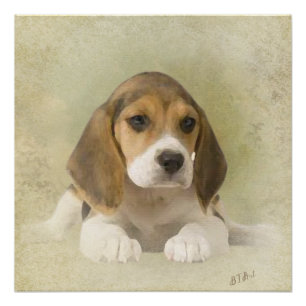 Poster Tapisserie beagle Faux Canvas Imprimer Acrylique I