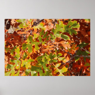 Poster Tapisserie de chêne d'automne