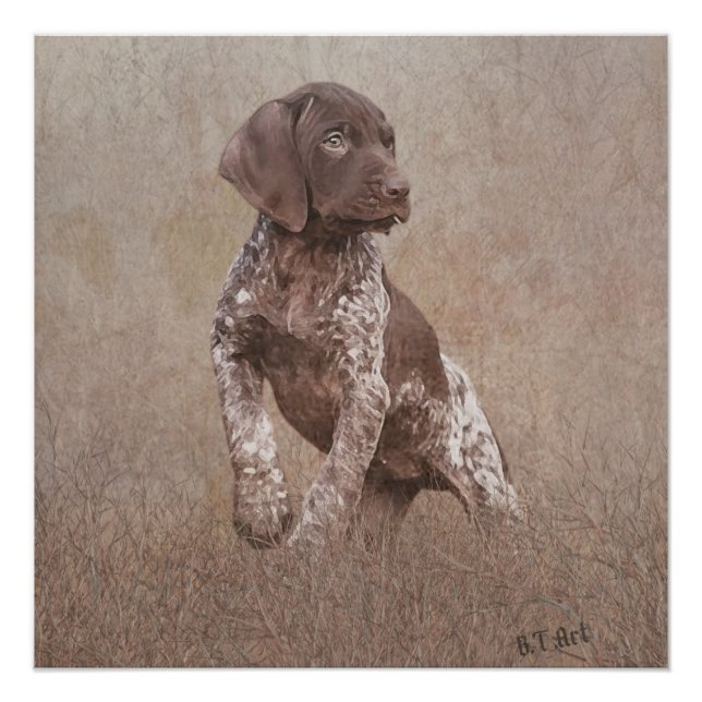 Poster tapisserie de chiot à pointes courtes allemande (Devant)