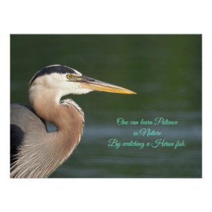 Poster Tapisserie de Great Blue Heron