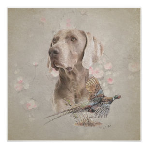 Poster Tapisserie Weimaraner