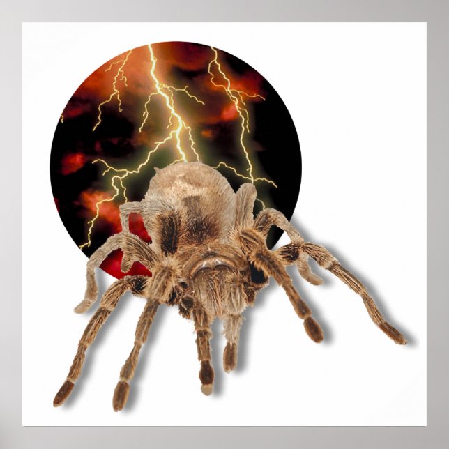 Poster Tarantula Lightning (Devant)