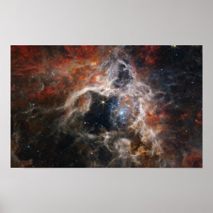Poster Tarantula Nebula Image spatiale