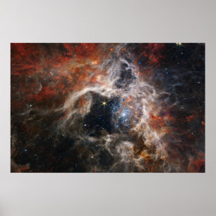 Poster Tarantula Nebula James Webb NASA