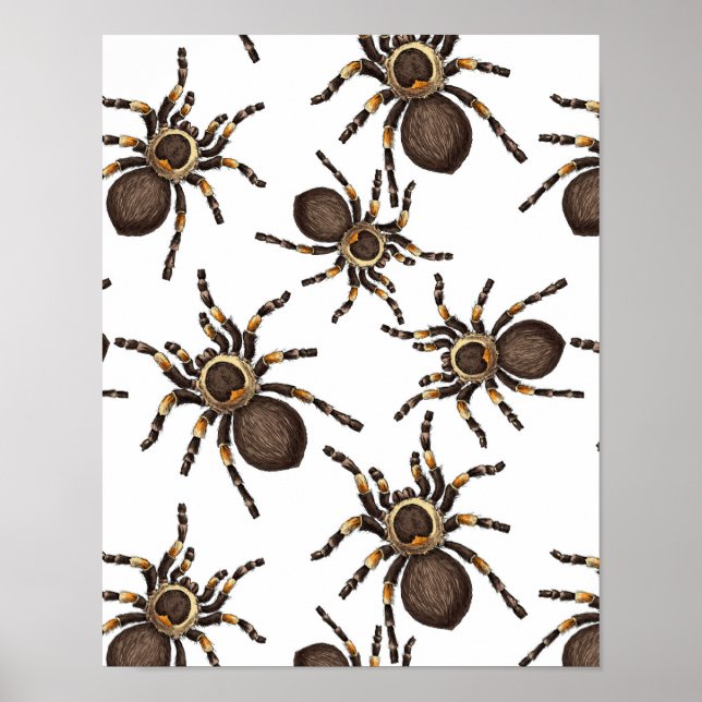 Poster Tarantula sur blanc (Devant)