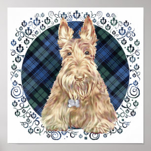 Poster Tartan Black Watch