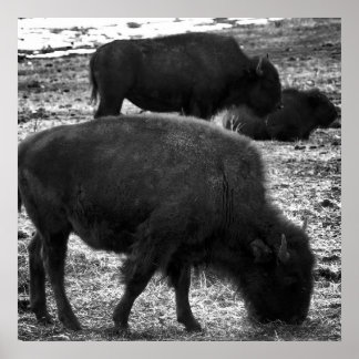Poster Tatanka