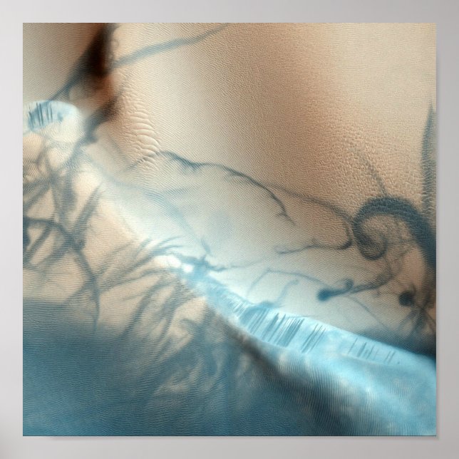 Poster Tatouage Mars Canvas Imprimer (Devant)