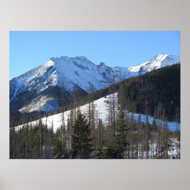 Poster Tatras en hiver (Devant)