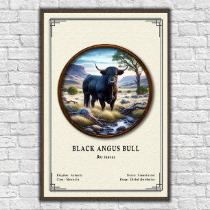 Poster Taureau Black Angus Série de zoologie