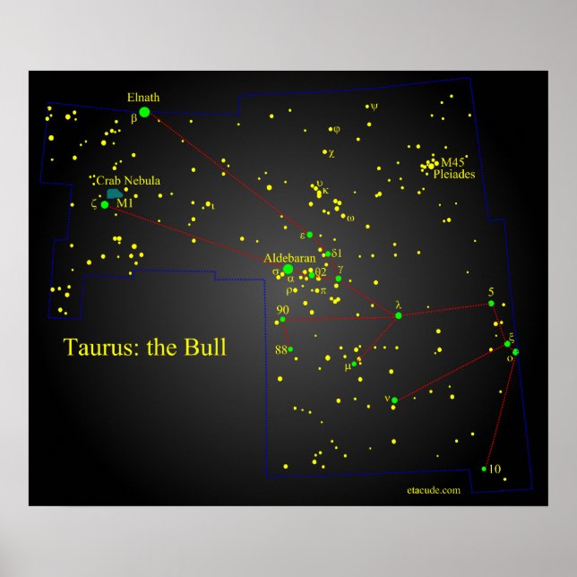 Poster Taurus la constellation Bull (Devant)