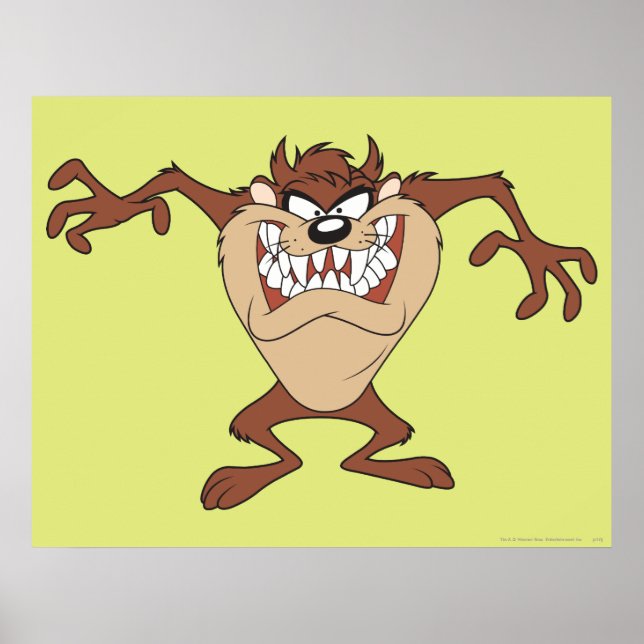Poster TAZ™ posant 15 (Devant)