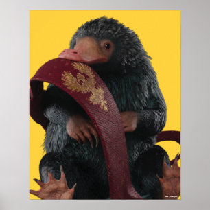 Poster Teddy Avec Cravate Graphique