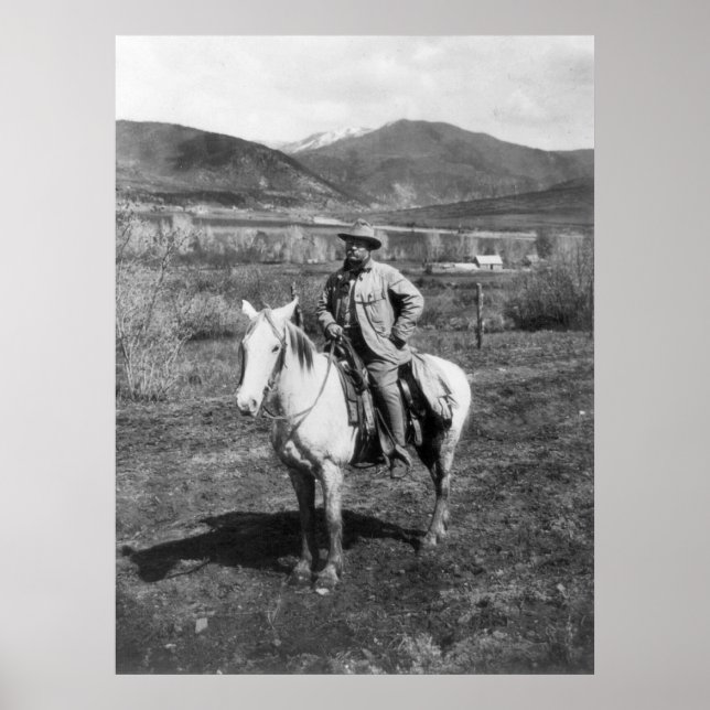 Poster Teddy Goes Bear Hunting, 1905 (Devant)