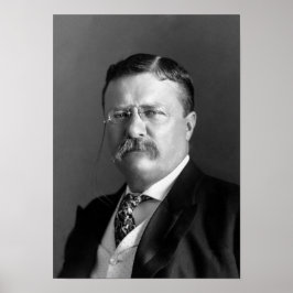 Poster Teddy Roosevelt Portrait - 1904