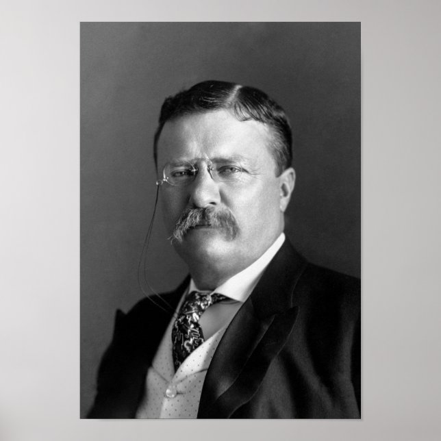Poster Teddy Roosevelt Portrait - 1904 (Devant)