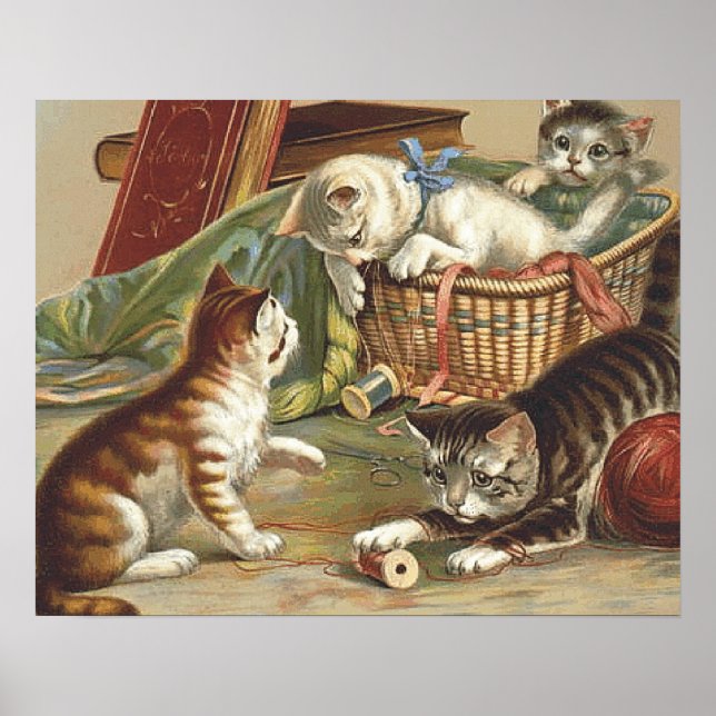 Poster TEE Curious Cat (Devant)