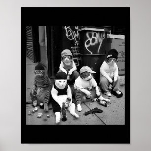 Poster Tee de chat Gangster Mexicaine, Stre de chat Gangs