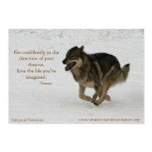 Tehya sur l'affiche Freedom Wolflection