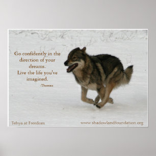 Poster Tehya sur l'affiche Freedom Wolflection