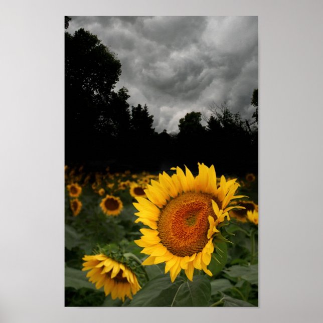 Poster Tempête d'août (Devant)