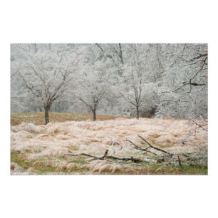 Poster Tempête de pluie verglaçante Tennessee rural -