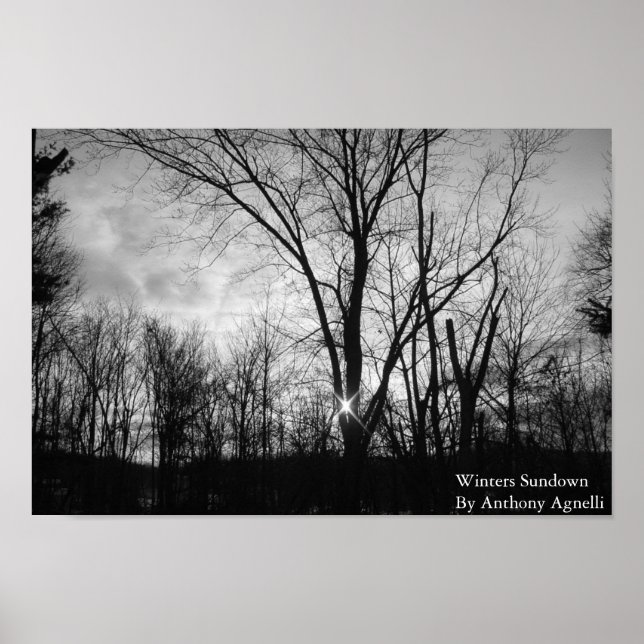 Poster Tempête des hivers (Devant)