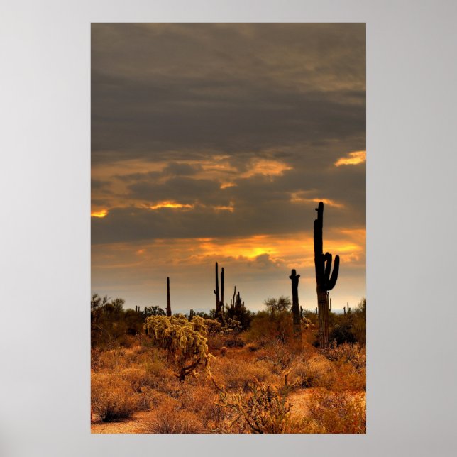 Poster Tempête du désert (Devant)