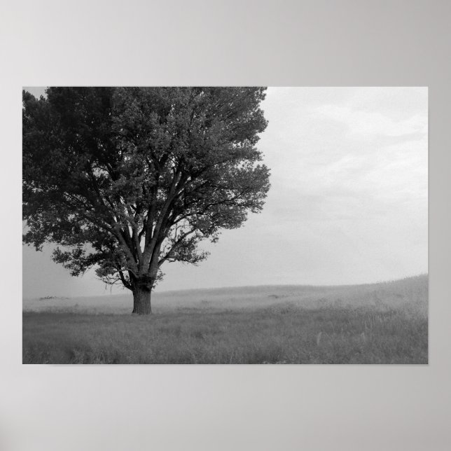 Poster Tempête Sèche Au-Dessus Des Prairies De L'Oklahoma (Devant)
