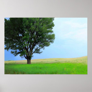 Poster Tempête Sèche Au-Dessus Des Prairies De L'Oklahoma