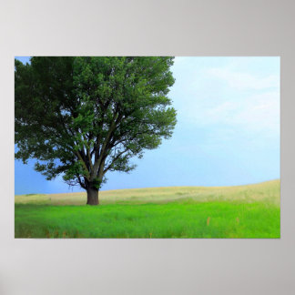 Poster Tempête Sèche Au-Dessus Des Prairies De L'Oklahoma