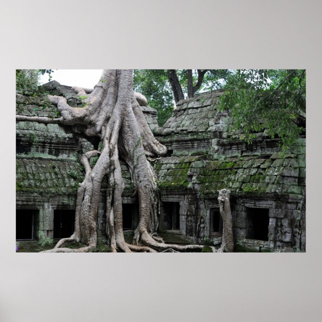 Poster temple de ta prohm au cambodge (Devant)