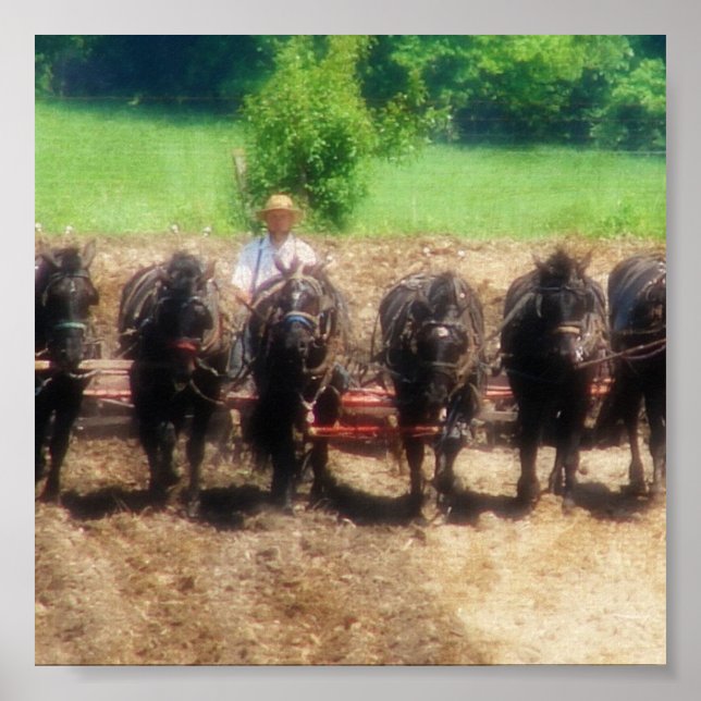 Poster Temps de plantation (Devant)