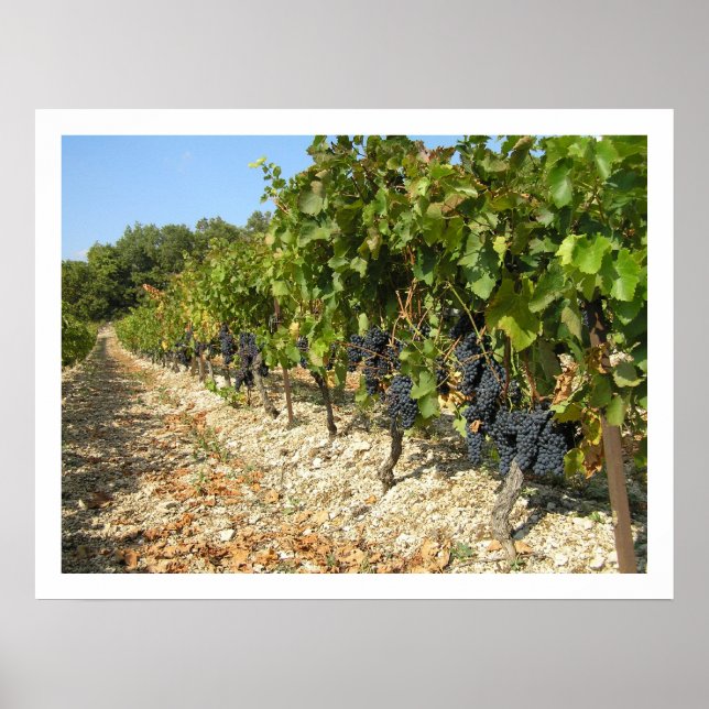 Poster Temps de récolte (Devant)