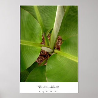 Poster Tendances d'appel d'offres