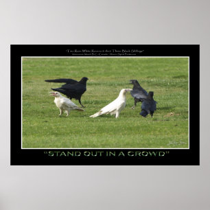 Poster "TENEZ" la copie de motivation BLANCHE de photo de