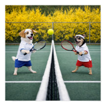 "Tennis pour tous ?"