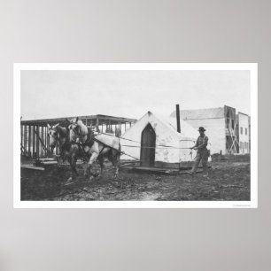Poster Tente Anchorage 1916 de chevaux