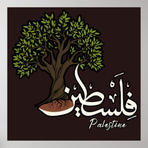 Poster Terme arabe palestinien avec Olivier palestinien