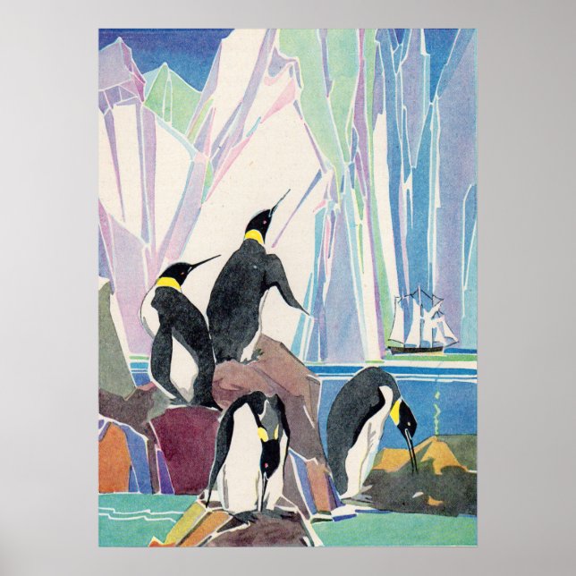 Poster terrain de pingouin (Devant)