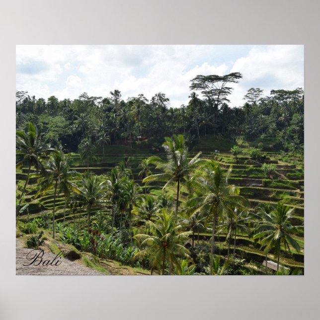 Poster Terrasse du terrain de riz Ubud de Bali (Devant)