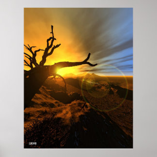 Poster Terre de Barren