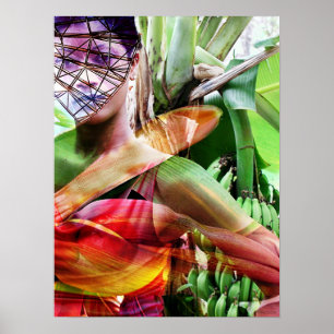 Poster terre de fruit de vol de fruit