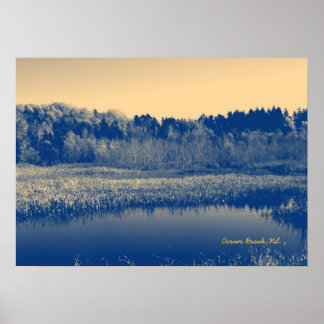 Poster Terre-Neuve, Canada, Marshlands Arbres et Eaux