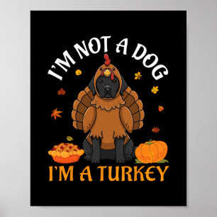 Poster Terre-Neuve Je ne suis pas un chien je suis une di