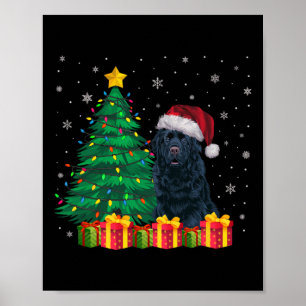 Poster Terre-Neuve moche Santa Hat Christmas Lights Chien