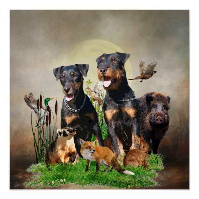 Poster Terrier de chasse allemand (Jagdterrier) (Devant)