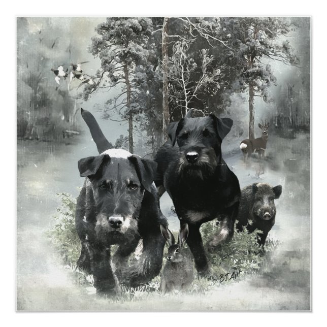 Poster Terrier de chasse allemand, Le Jagdterrier, Art (Devant)