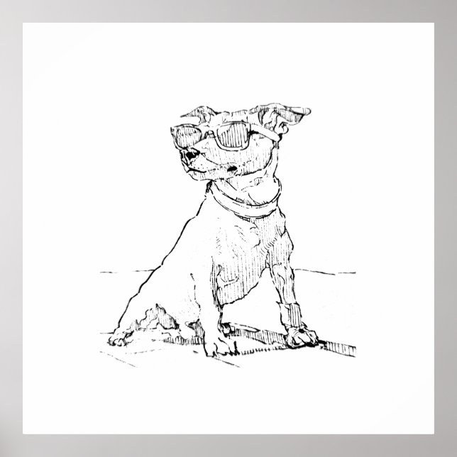 Poster Terrier Jack Russell  (Devant)